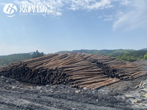 河道打樁為什么選擇松木樁來(lái)處理軟地基？-松木樁施工使用范圍